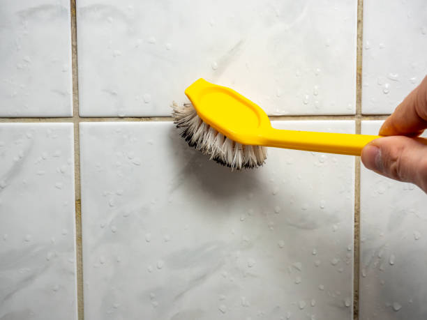 Trusted Woodburn, OR Mold Removal Experts