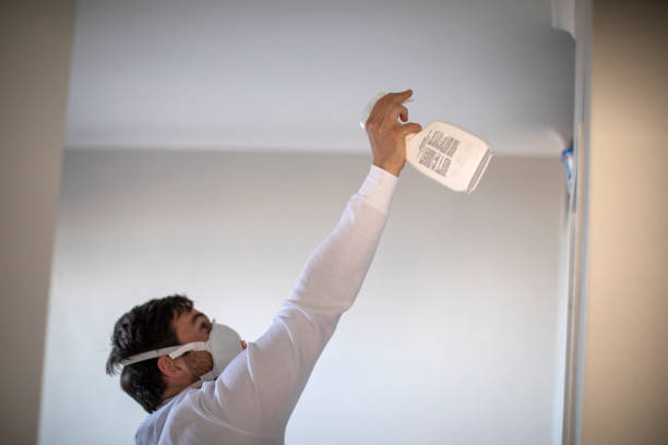Mold Removal Process in Woodburn, OR