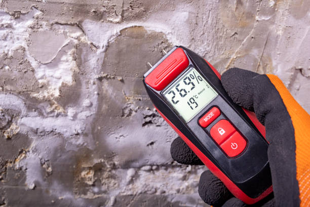 Best Office Mold Removal Services  in Woodburn, OR