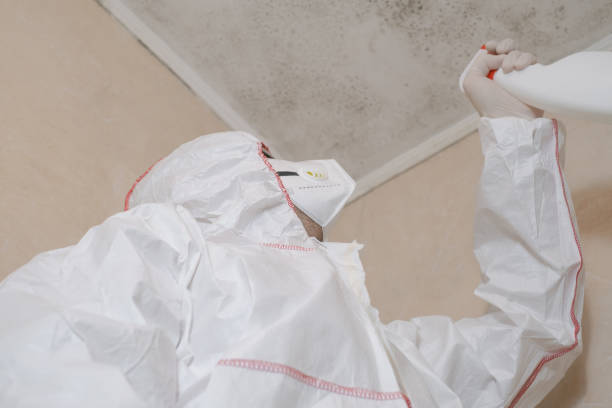 Best Emergency Mold Removal  in Woodburn, OR